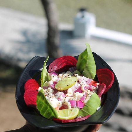 Shivanjal Wellness And Accommodation Rishīkesh المظهر الخارجي الصورة
