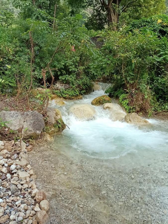 Shivanjal Wellness And Accommodation Rishīkesh المظهر الخارجي الصورة